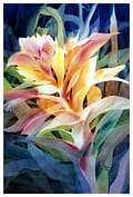 Full Bloom