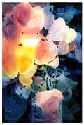 In A Vase