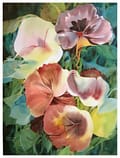 Pansies