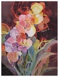 Orchid