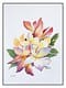 Plumeria
